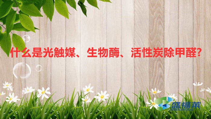 什么是光觸媒、生物酶、活性炭除甲醛?