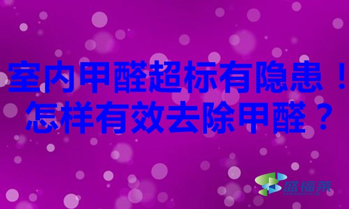 室內甲醛超標有隱患！怎樣有效去除甲醛？