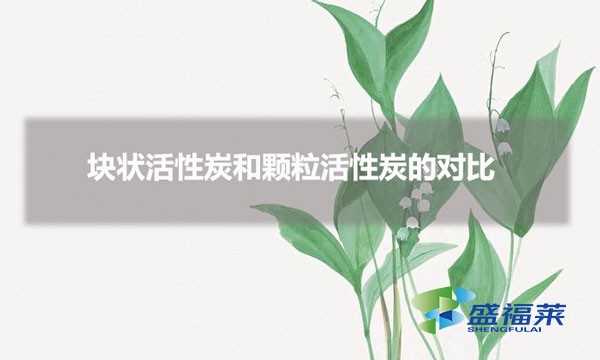 塊狀活性炭和顆粒活性炭的對比（塊狀和顆?；钚蕴坑心男┎煌? _propertydelete=