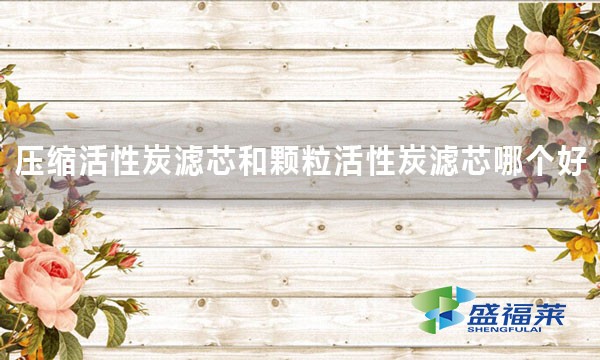 壓縮活性炭濾芯和顆?；钚蕴繛V芯哪個好 好在哪里？