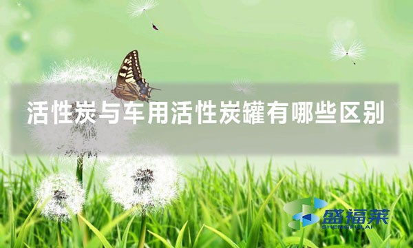 活性炭與車(chē)用活性炭罐有哪些區(qū)別