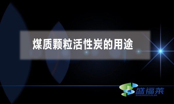 煤質(zhì)顆?；钚蕴康挠猛? width=