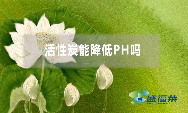 活性炭能降低PH嗎？為什么？