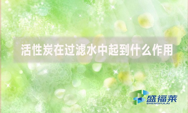 活性炭在過(guò)濾水中起到什么作用？