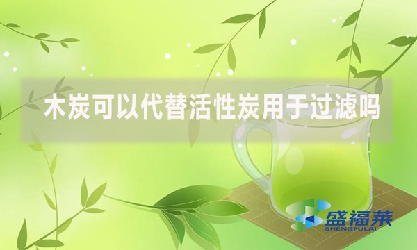 木炭可以代替活性炭用于過濾嗎？