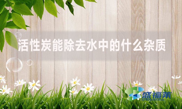 活性炭能除去水中的什么雜質(zhì)？