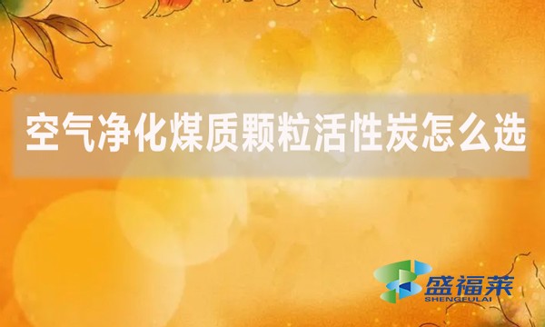 空氣凈化煤質顆?；钚蕴吭趺催x？