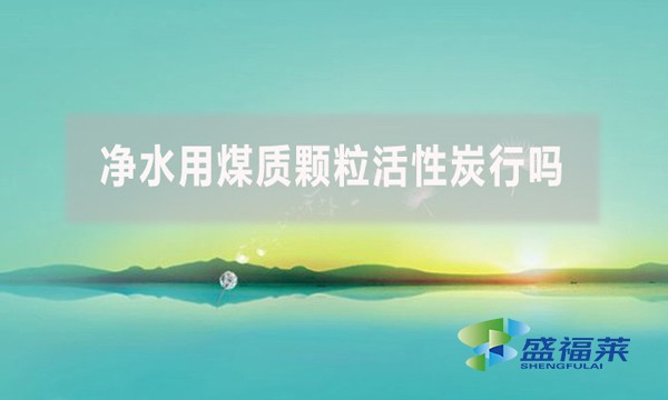 凈水用煤質(zhì)顆?；钚蕴啃袉?？