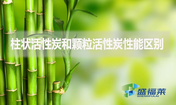 柱狀活性炭和顆?；钚蕴啃阅軈^(qū)別