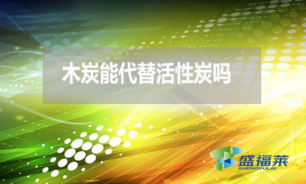 木炭能代替活性炭嗎？為什麼 ？