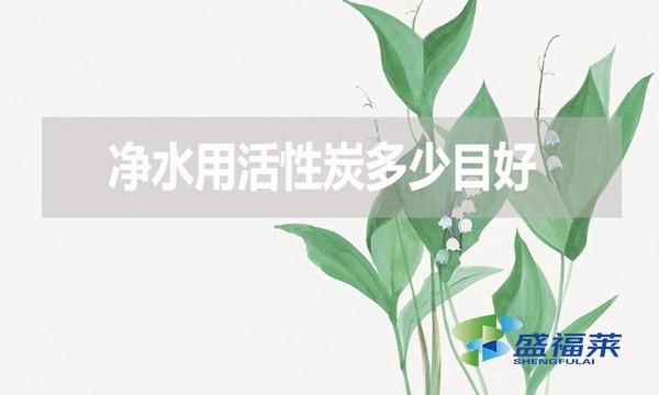 凈水用活性炭多少目好？有哪些優(yōu)缺點？
