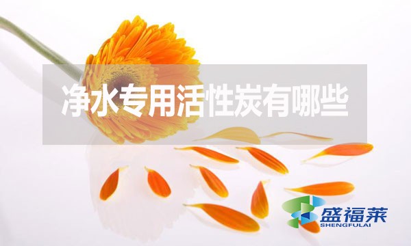 凈水專用活性炭有哪些？多少錢一噸？