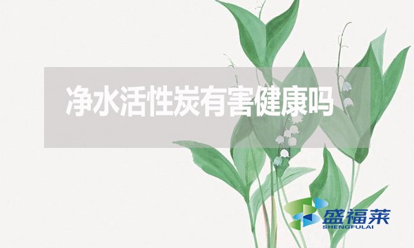 凈水活性炭有害健康嗎？