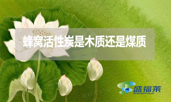 蜂窩活性炭是木質還是煤質？哪種好？