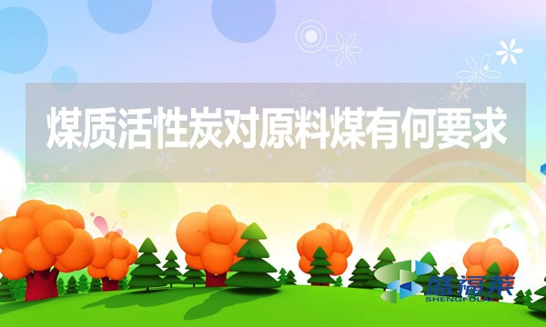 煤質(zhì)活性炭對原料煤有何要求？