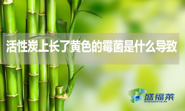 活性炭上長(zhǎng)了黃色的霉菌是什么導(dǎo)致的？還能不能使用？