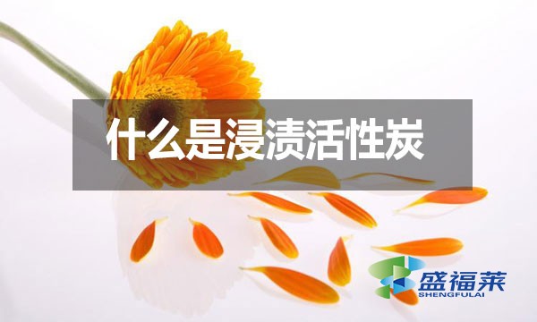 什么是浸漬活性炭？