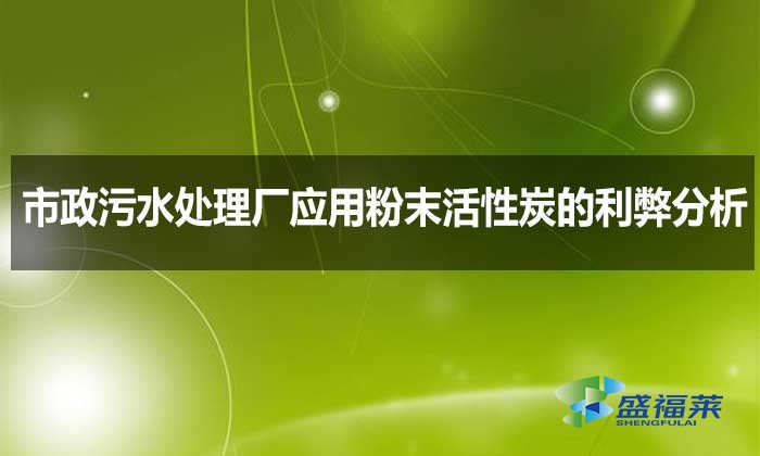 市政污水處理廠應用粉末活性炭的利弊分析
